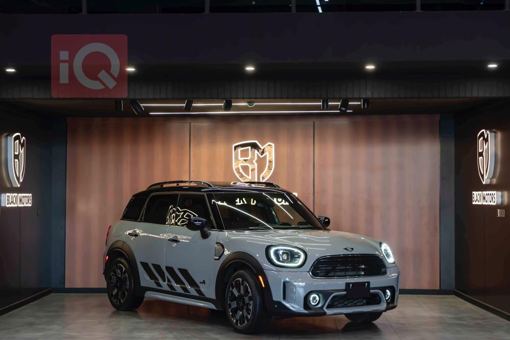 Mini Countryman